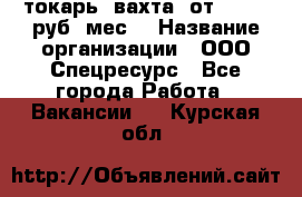 токарь. вахта. от 50 000 руб./мес. › Название организации ­ ООО Спецресурс - Все города Работа » Вакансии   . Курская обл.